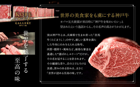 【冷凍便】神戸牛ハンバーグ 8個