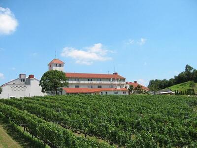 神戸ワイン タータンラベル 白 720ml瓶×1本