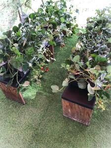 移動農園体験チケット(味覚狩り体験)