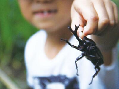 移動農園体験チケット(味覚狩り体験)