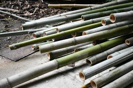 ぱれっとナチュラル石鹸(2個セット) 神戸 SDGs 化粧品 竹炭 馬油