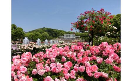 神戸迎賓館 旧西尾邸 レストラン〈ルアン〉離宮公園チケット付 ランチ フルコース ペアチケット
