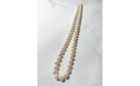 アコヤ真珠　素材　連　7.5-8mm