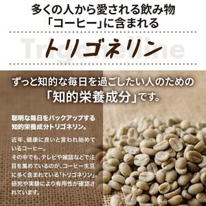 トリゴネージコーヒー ブルーマウンテン 1箱