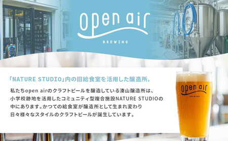open air クラフトビールおまかせ 12本セット