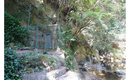 神戸ウォーター 10L×1箱