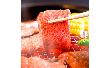 【和牛セレブ】神戸牛焼肉(焼きすき)ブリスケスライス1.2kg