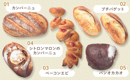 ハード系 パン11個セット