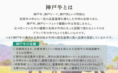 神戸牛スリットミニステーキ