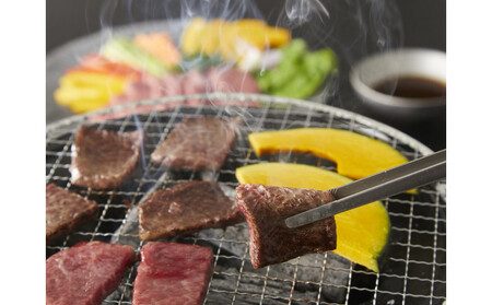 神戸牛 焼肉用 厚切り落とし 500g (BBQ 不揃い 切り落し 訳あり)