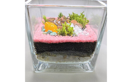 ととのいの湯、テラリウムにて