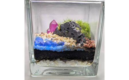 ポートの記憶、テラリウムに