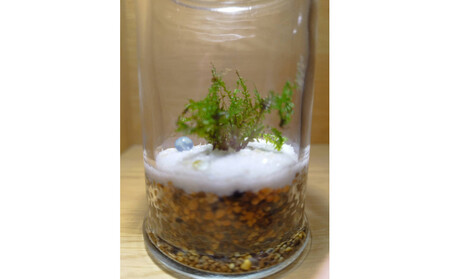 KOBE COLORS ~STONE & MOSS~