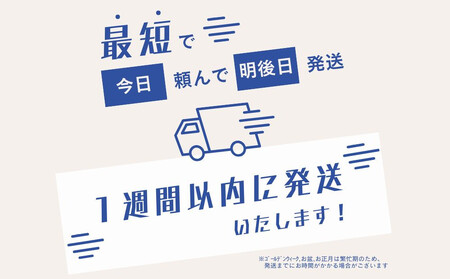 【訳あり】銀鮭切り身 味付け ご家庭用・お弁当に最適!ふっくらジューシー 3Kg