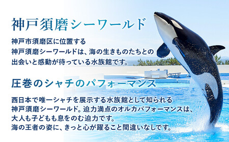 神戸須磨シーワールド入場券 2枚セット(有効期限:~2026年3月31日)