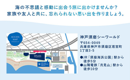 神戸須磨シーワールド入場券 3枚セット(有効期限:~2026年3月31日)