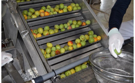 白鶴 梅酒原酒 720ml瓶 x 2本