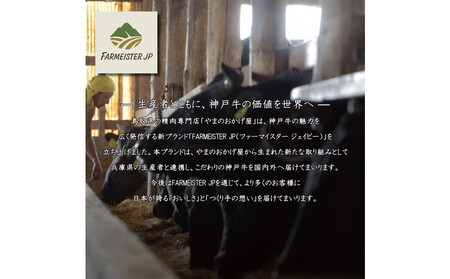 神戸牛 ブリスケスライス500g【うすなが牧場】FU2