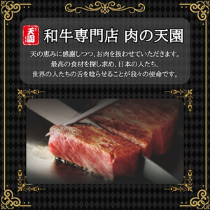 【ふるさと納税】【肉の天園】神戸牛 特選 霜降り サーロイン ステーキ 200g x 3枚 SI04