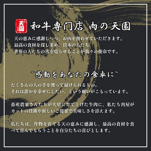 【ふるさと納税】【肉の天園】神戸ポーク 煮込みハンバーグx 4個《和風きのこ餡》SA02