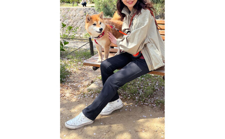 【B-THREE/ビースリー】ペットの抜け毛や花粉がつきにくい ストレートパンツ(870031)