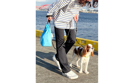 【B-THREE/ビースリー】ペットの抜け毛や花粉がつきにくい ストレートパンツ(870031)