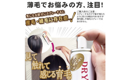 医薬部外品 育毛・発毛促進剤 ドライドライド QZ-3D 120mL