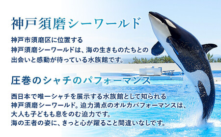 神戸須磨シーワールド入場券 2枚セット(有効期限:2026年4月1日~9月30日)