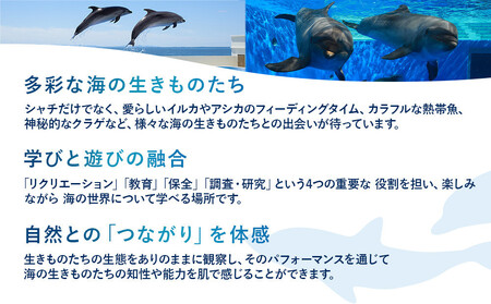 神戸須磨シーワールド入場券 2枚セット(有効期限:2026年4月1日~9月30日)