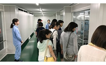 キューピーマヨネーズ 350g x 3本