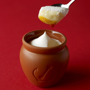 【神戸フランツ】 神戸魔法の壷プリン4個入