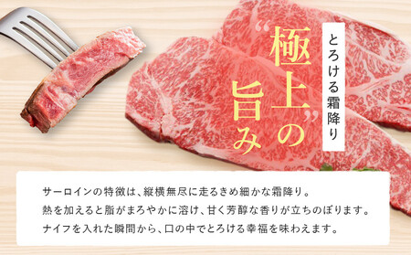 【冷蔵便】【辰屋】神戸牛 サーロインステーキ 200g×15枚