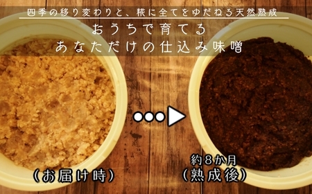 寝かせてつくる完全手作り仕込み味噌３kg