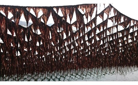 一番摘み須磨のり　笑顔の食卓６本セット