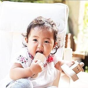 桧のおもちゃ　アイコニー　乗り物シリーズ IKONIH　Transportation Series