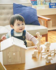 桧のおもちゃ アイコニー いきものセット IKONIH Creatures Set