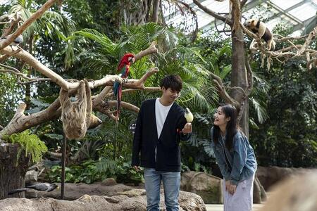 神戸どうぶつ王国入園＆「神戸ポートピアホテル」ペアランチ券 | 兵庫県神戸市 | ふるさと納税サイト「ふるなび」