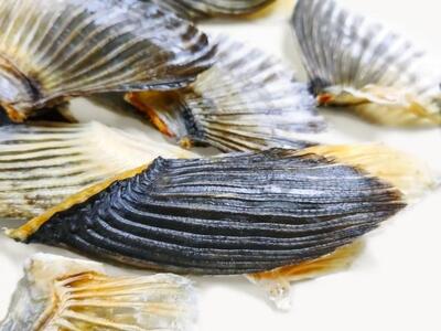 とらフグひれ5袋