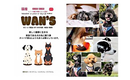 神戸生まれの 新鮮な無添加 ドライドッグフード 『EM-WANS』2.0KG 3個セット