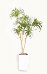 人工観葉植物　青年の樹ユッカ７本枝　白陶器鉢付き