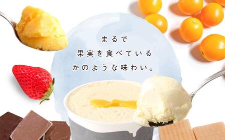行列のできる有馬温泉スタジオーネ ジェラート ６個 詰め合わせ ジェラート