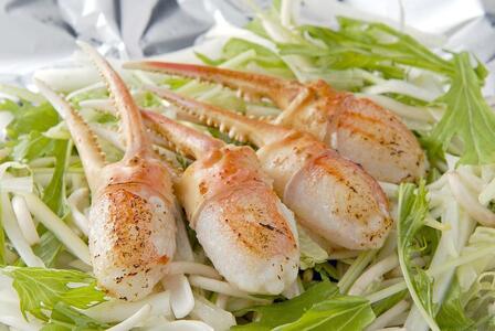 レンジで生ずわい爪肉 600g(300g×2)