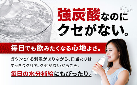 アサヒ飲料 ウィルキンソン タンサン（500mlペットボトル×24本×2箱）【2026年2月以降のお届け予定】