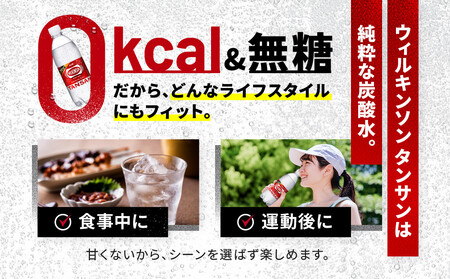 アサヒ飲料 ウィルキンソン タンサン（500mlペットボトル×24本×2箱）【2026年2月以降のお届け予定】