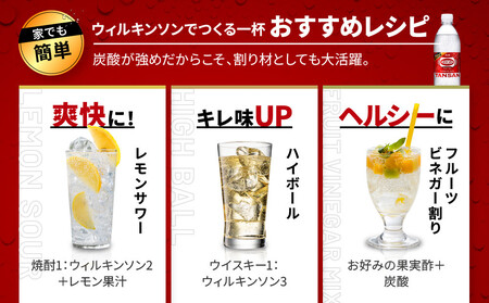 アサヒ飲料 ウィルキンソン タンサン（500mlペットボトル×24本×2箱）【2026年2月以降のお届け予定】