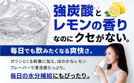 アサヒ飲料 ウィルキンソン タンサン レモン（500mlペットボトル×24本×2箱）【2026年2月以降のお届け予定】