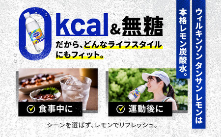 アサヒ飲料 ウィルキンソン タンサン レモン（500mlペットボトル×24本×2箱）【2026年2月以降のお届け予定】