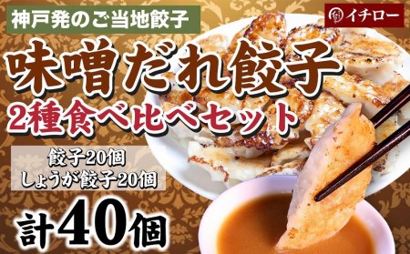 [ギョーザ専門店イチロー] 神戸味噌だれ餃子2種（計40個）食べ比べセット