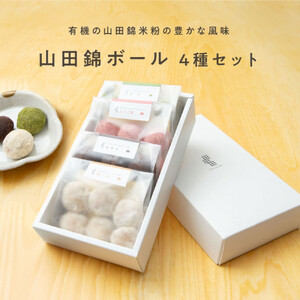 グルテンフリー 山田錦 ボール 【箱入り4種アソート（和三盆/カカオ/抹茶/えちご姫（いちご） ）】 田田田堂 米粉 お菓子 クッキー スイーツ 小麦 乳 卵 白砂糖 不使用 アレルギー 対応 無農薬 米 ビーガン ポルボローネ