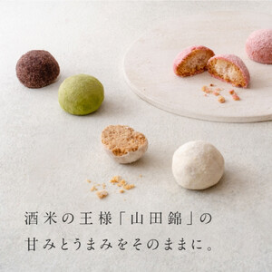 グルテンフリー 山田錦 ボール 【箱入り4種アソート（和三盆/カカオ/抹茶/えちご姫（いちご） ）】 田田田堂 米粉 お菓子 クッキー スイーツ 小麦 乳 卵 白砂糖 不使用 アレルギー 対応 無農薬 米 ビーガン ポルボローネ